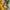 Konkurs_Lidl_QF_Quality_Food_08 (13)