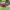 Konkurs_Lidl_QF_Quality_Food_08 (18)