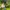 Konkurs_Lidl_QF_Quality_Food_08 (23)