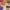 Konkurs_Lidl_QF_Quality_Food_08 (33)