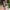 Konkurs_Lidl_QF_Quality_Food_08 (39)