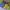 Konkurs_Lidl_QF_Quality_Food_08 (4)