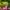 Konkurs_Lidl_QF_Quality_Food_08 (8)